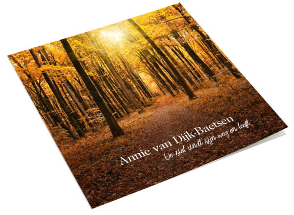 Herfstbos 2021